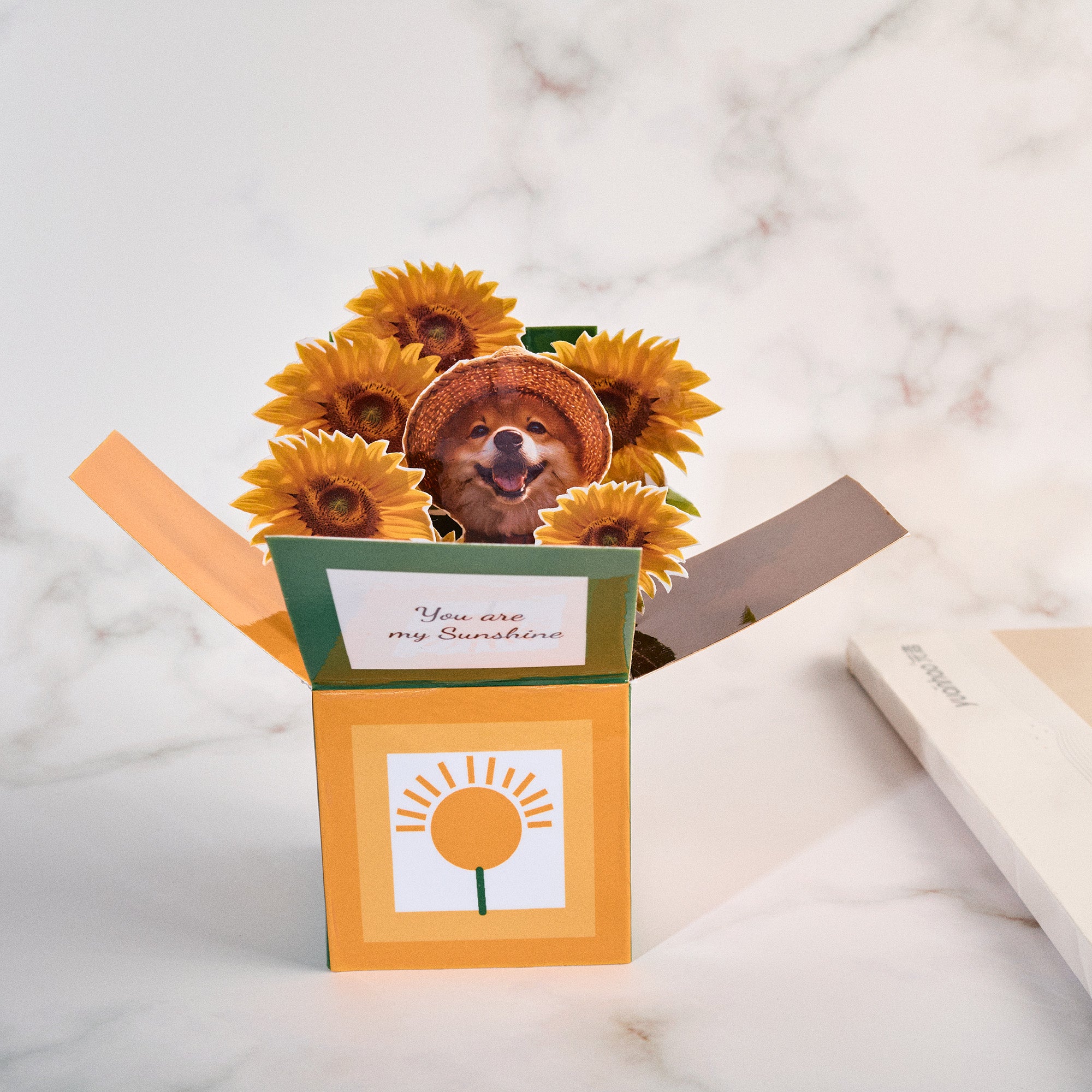 Gift box style 3D pop up card base with sunflower icon, creative paper engineering and sturdy structure for display